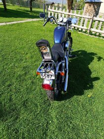Harley Davidson XL1200 Sportster - 6
