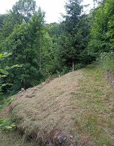 Údržba zahrad, lesů, domů i bytů - hodinový manžel - 6