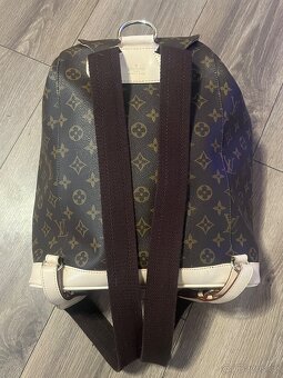 louis vuitton canavas bagpag - 6