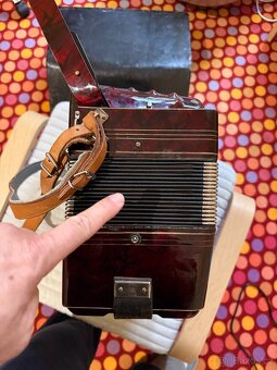 Akordeón BELLONA - 6