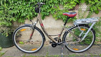 Spezialized Cross sport, přestavba na elektrokolo - 6