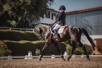 valach a1/1 do sportu/aktivni rekre - 6