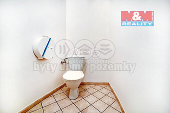 Pronájem obchod a služby, 150 m², Plzeň, ul. Pražská - 6