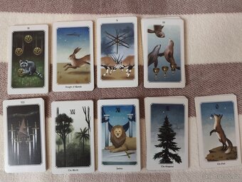 Anima Mundi Tarot - 6