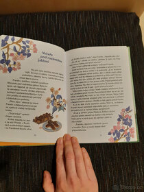 knihy I. Peroutkové - Ukradené štěně/housle - 6