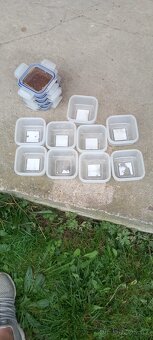 Plastové bedny s víkem - 6