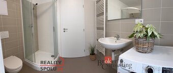 Pronájem, byty/1+kk, 30 m2, Diamantová 854/1, Újezd, 31200 P - 6
