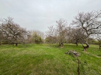 Sad a navazující les v Dolních Kounicích, celkem 12 899 m² - 6