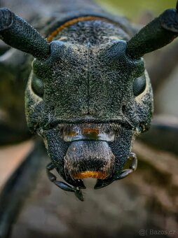 Vivo X100 Ultra úložiště 1TB - 6