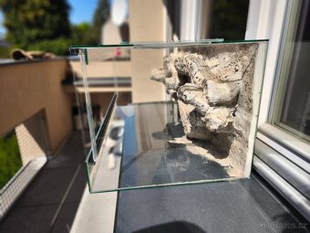 Terárium 80cm s 3D stěnou - 6