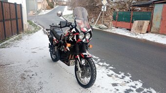 Triumph Tiger 900 - 6