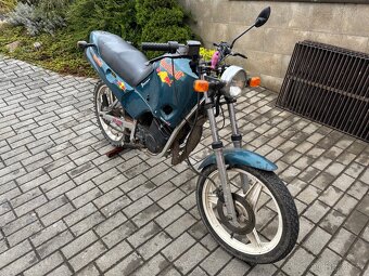 Jawa dandy 50 - 6