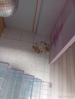 Lol surprise chata - 6