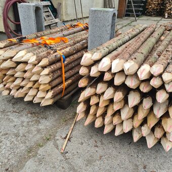 Kůly na oplocení - modřín  - 6