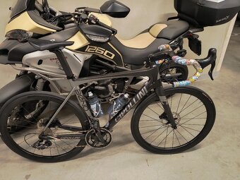 FAST FORWARD RYOT 44 DISC - 6