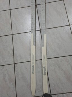 Běžky Trak se šupinami 180 cm - 6