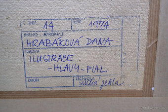 Fialová Hlava - Hrabáková Dana - grafika - 6