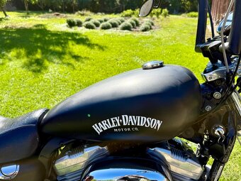Harley Davidson Sportster 883 v TP 25 KW - 6