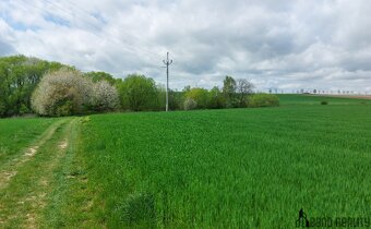 Prodej rybníku – vodní plochy, 12 045 m², Krásensko (Vyškov) - 6