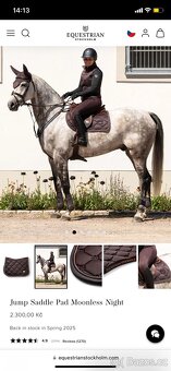 Equestrian Stockholm Moonless Night - 6