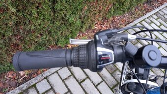 Leader Fox, chlapecké kolo - 6