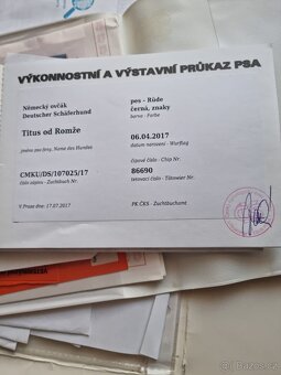 Darujeme německého ovčáka do dobrých rukou - 6