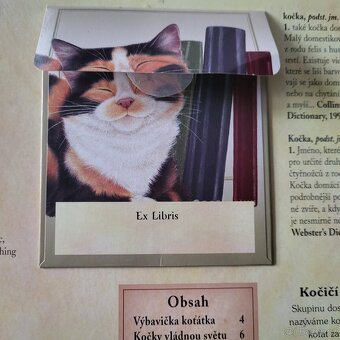 KOČKY pro děti - 6