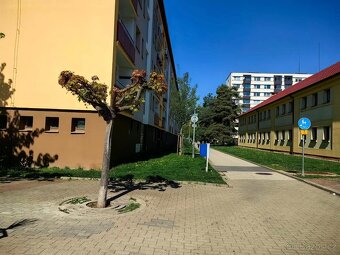 Prodej bytu 3+kk s lodžií v OV, 62m2, sklep, parkování - 6