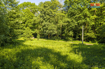 Prodej louky, 646 m², Hodkovice nad Mohelkou - 6