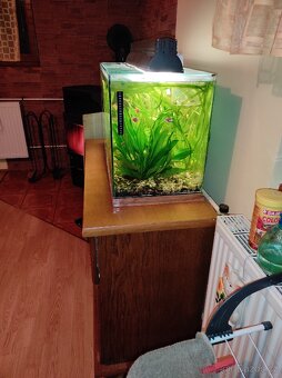 Akvarium 74x33x40  98L - 6
