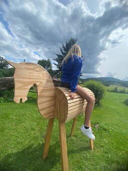 Dřevěný kůň - 6