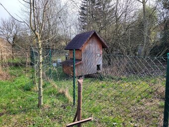 Zahrada s chatkou v Bezměrově - 6