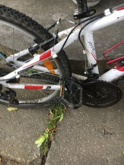 AUTHOR a-matrix MTB Junior vel. 15´´, kola 24´´ - 6