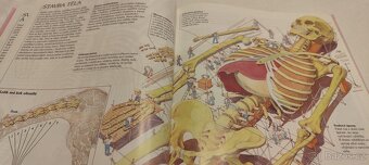 Lidské tělo - kniha pro mládež o fungování lidského těla - 6