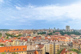 Pronájem bytu 4+kk, 204 m2, Praha 2 - Vinohrady, U Zvonařky - 6