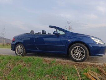 Peugeot 307 CC CABRIO 2.0 16V - 6