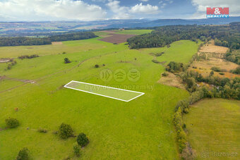 Prodej louky, 4266 m², Spálené Poříčí - 6
