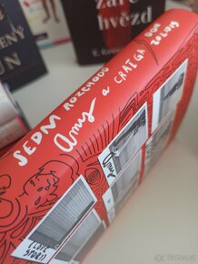 Kniha Sedm rozchodů Amy a Craiga - Don Zolidis - 6