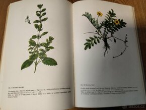 Kniha - domácí lékař - 6