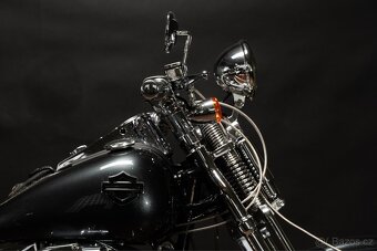 Harley Davidson Softail Springer EVO - 6