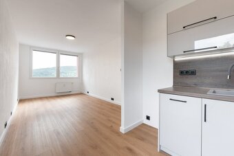 Pronájem bytu 2+kk v osobním vlastnictví 40 m², Bílina - 6