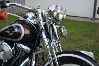 Harley-Davidson 1998 FLSTS Heritage Springer 95thAnniversary - 6