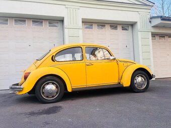 VW BROUK SUNNY BUG - 6