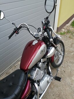 Yamaha XV 250 Virago - 6