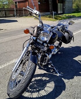 Dragstar XVS 650 Classic - 6