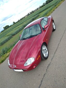 Jaguár - 6