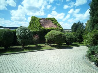 Zahradnické práce, úpravy a revitalizace zahrad - 6