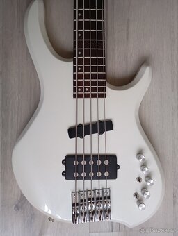 REZERVOVANÉ-5-strunová basgitara - 6