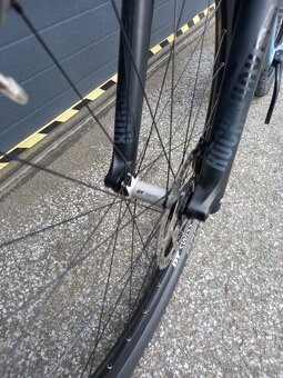 Radon Jealous C 8.0 vel.L - 6