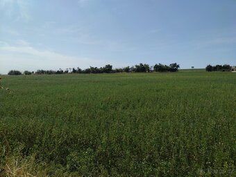 Stavební pozemek se stodolou v obci Stupešice, 4 412 m2 - 6